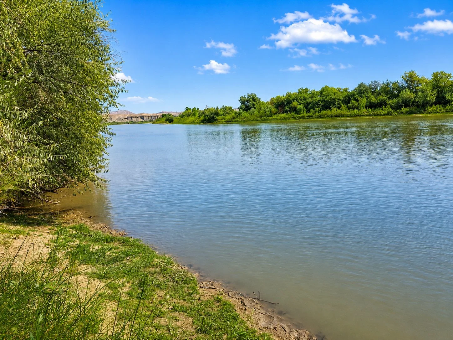 River bordered by trees and open canyon country