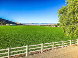 53 Acres Sold in Washington Fields