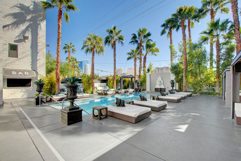 Pool area with palm trees in Las Vegas